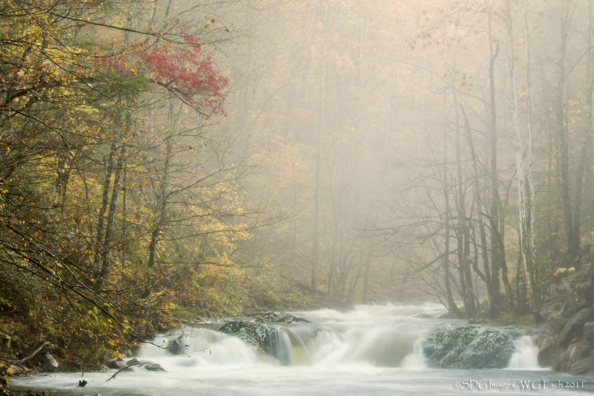 Misty River 2.5