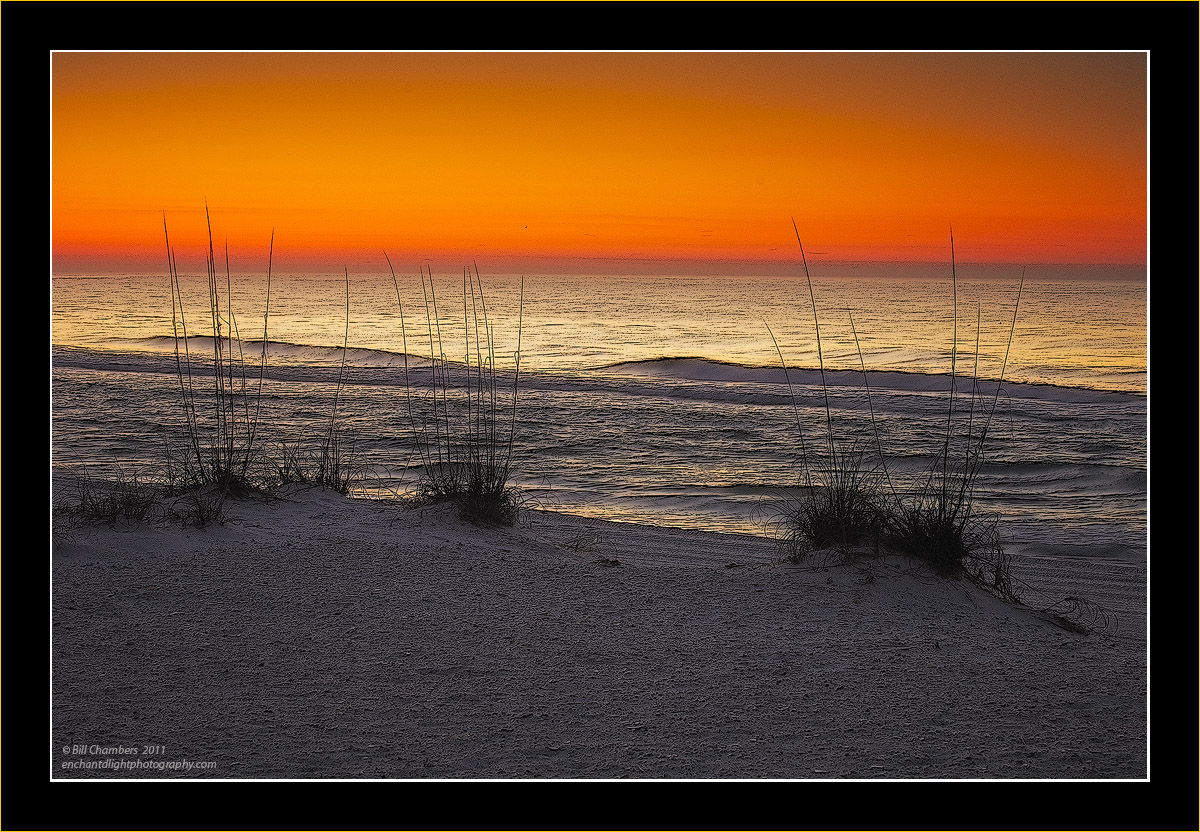 Beach View