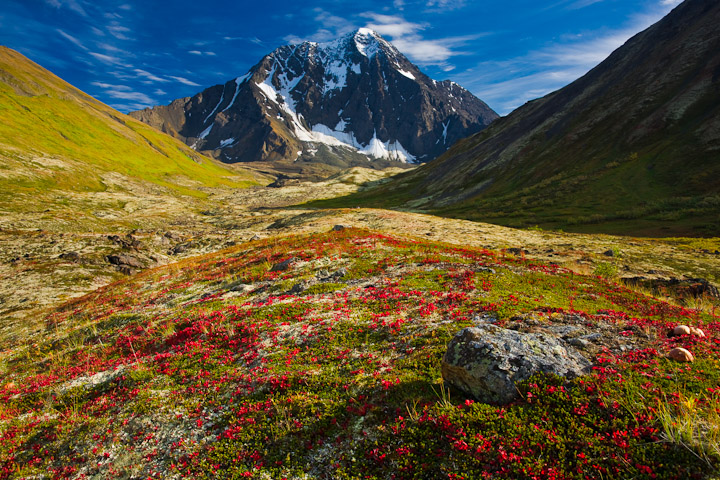 Alpine Perfection