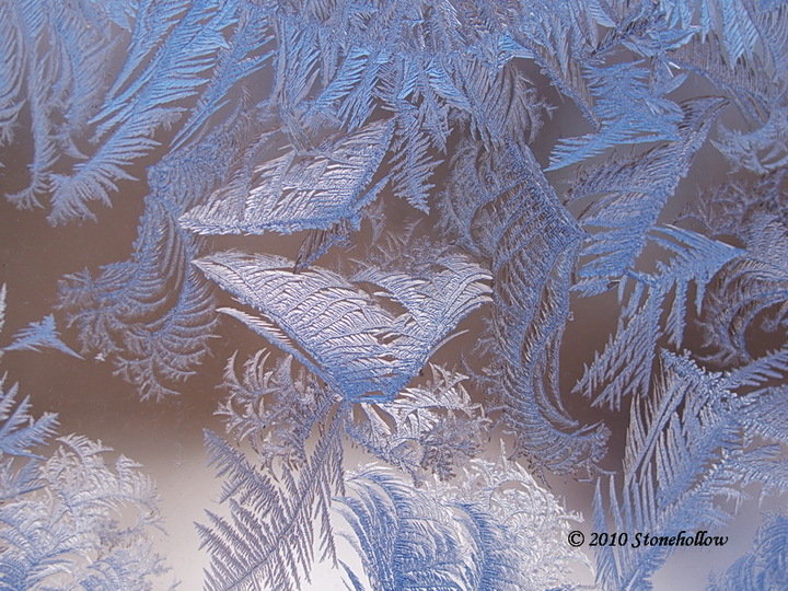 Mr. Frost's visit