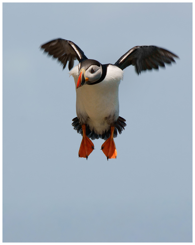 Air brakes on