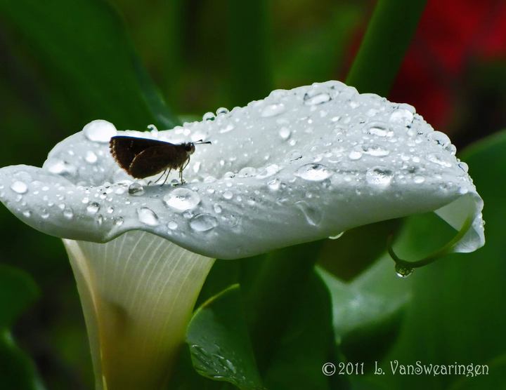 Resting After the Storm