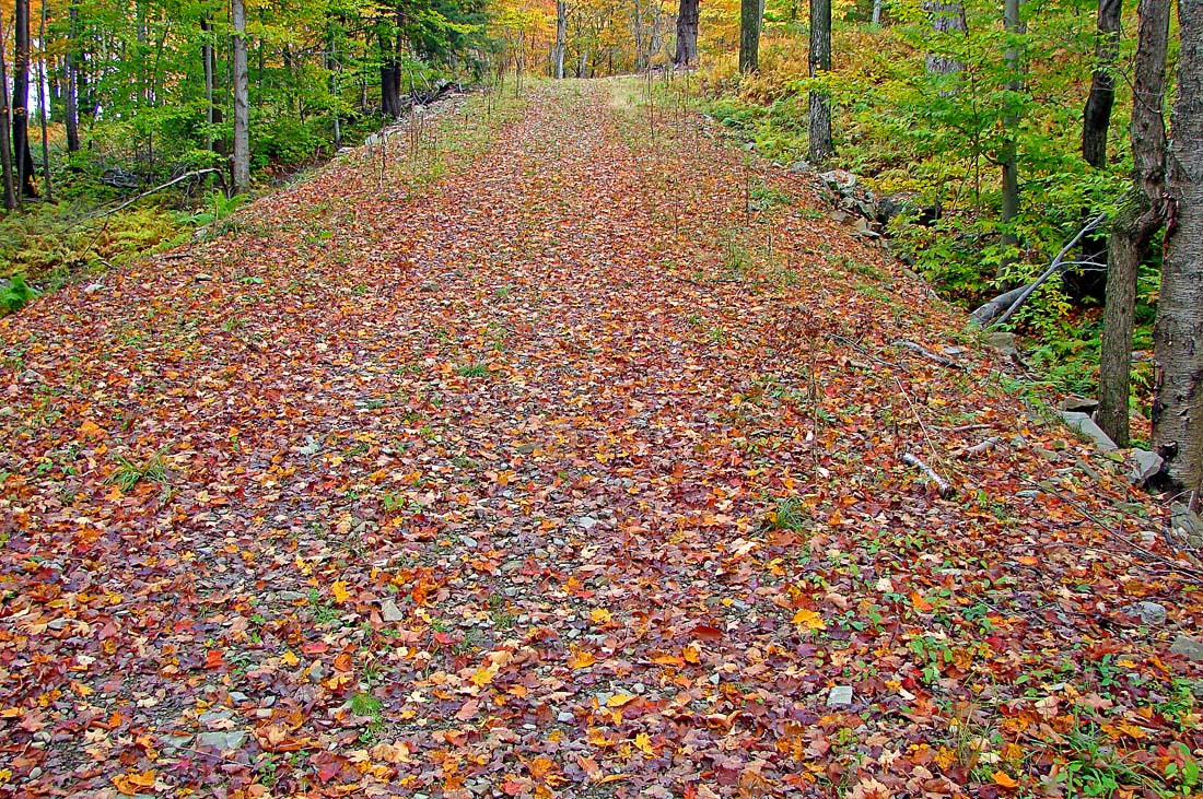 Outdoor Carpeting