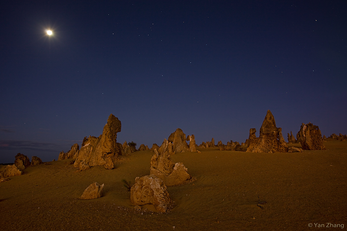 Under the Moonlight