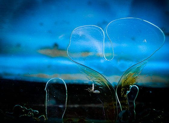 Love on the Windsheild WC 470