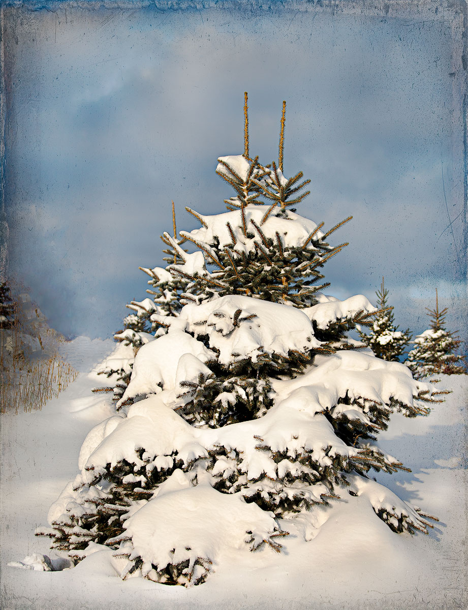 Window on Winter theme
