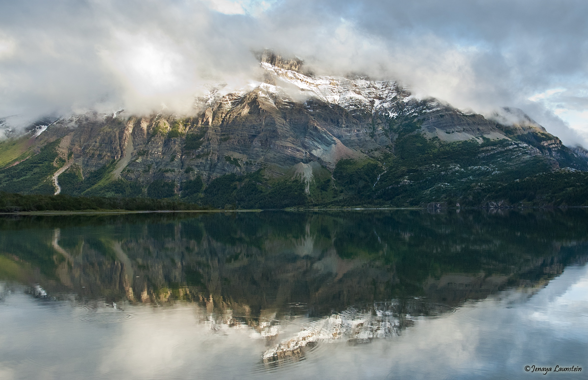 REPOST - Reflections