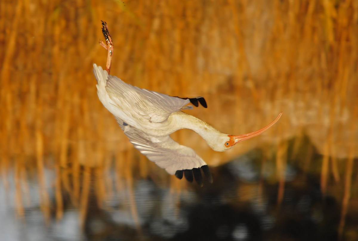 Downside up