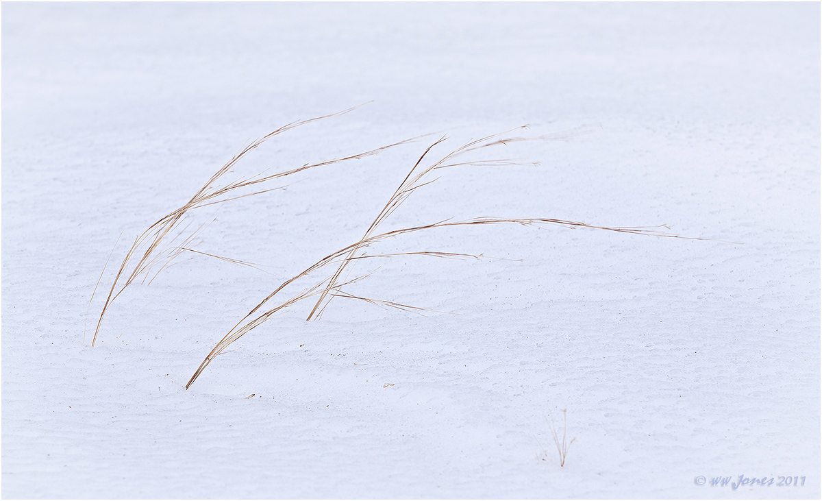 Westwind (Winter Theme)