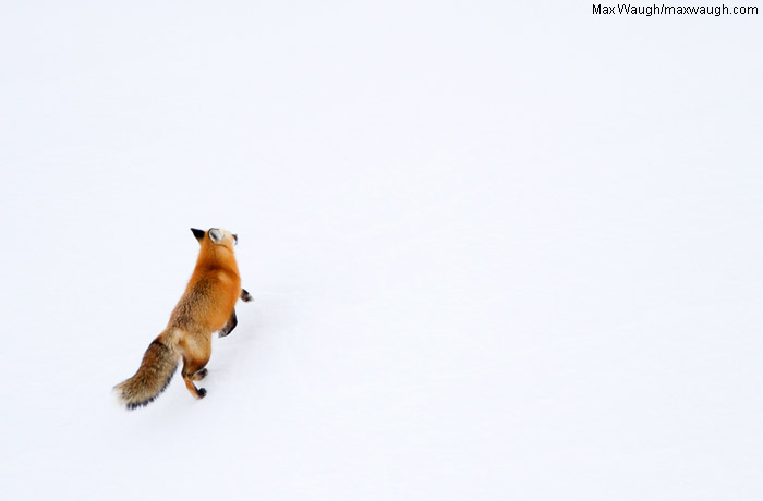Up, Up and Away