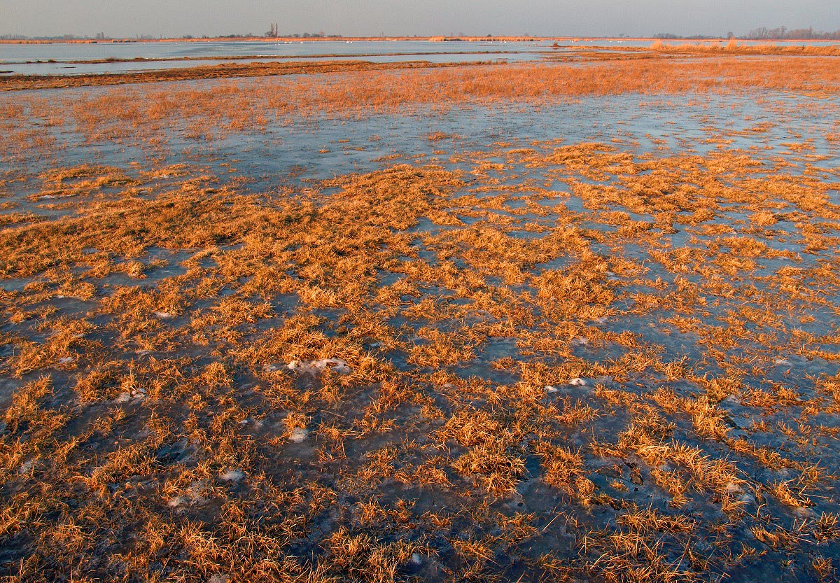 Evening in the Steppes