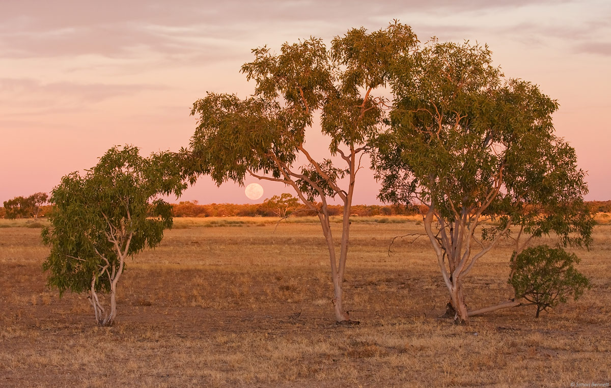 Outback Moonrise