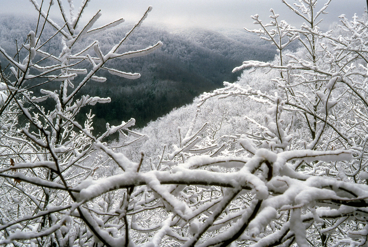 Snow in the Smokies