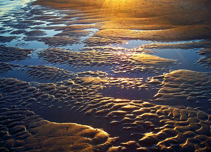 Coastal sunset