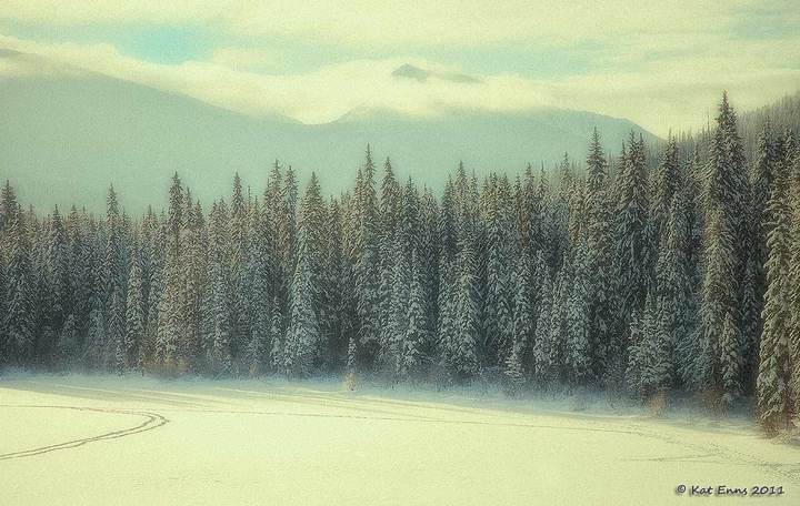 NancyGreen Lk Winterhaze