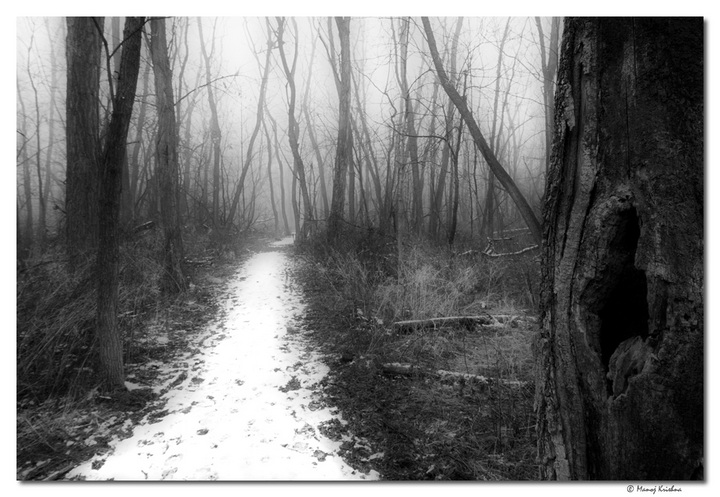 The Sleepy Hollow trail