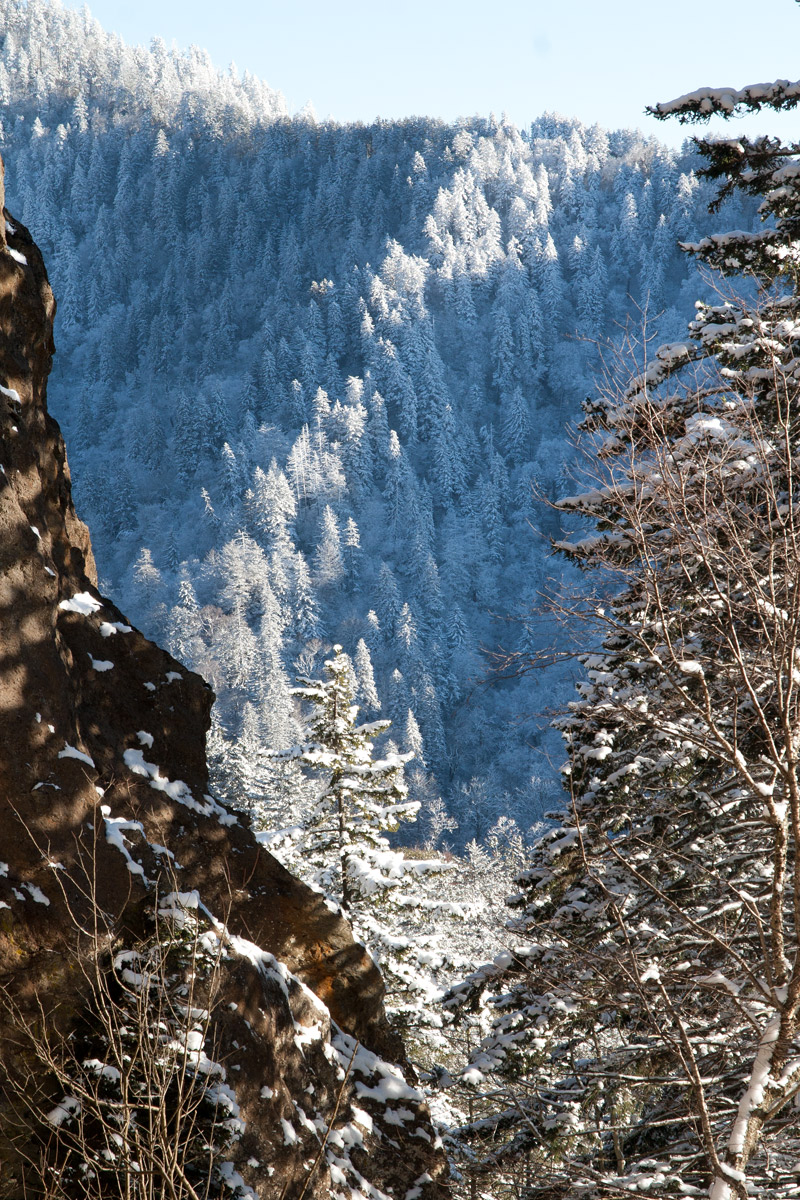 More Snow in the Smokies