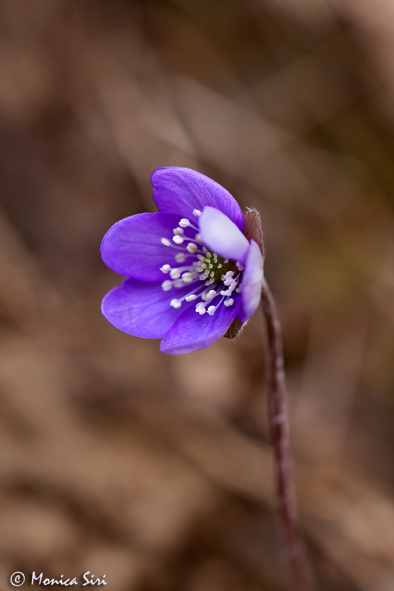 Spring is in the air