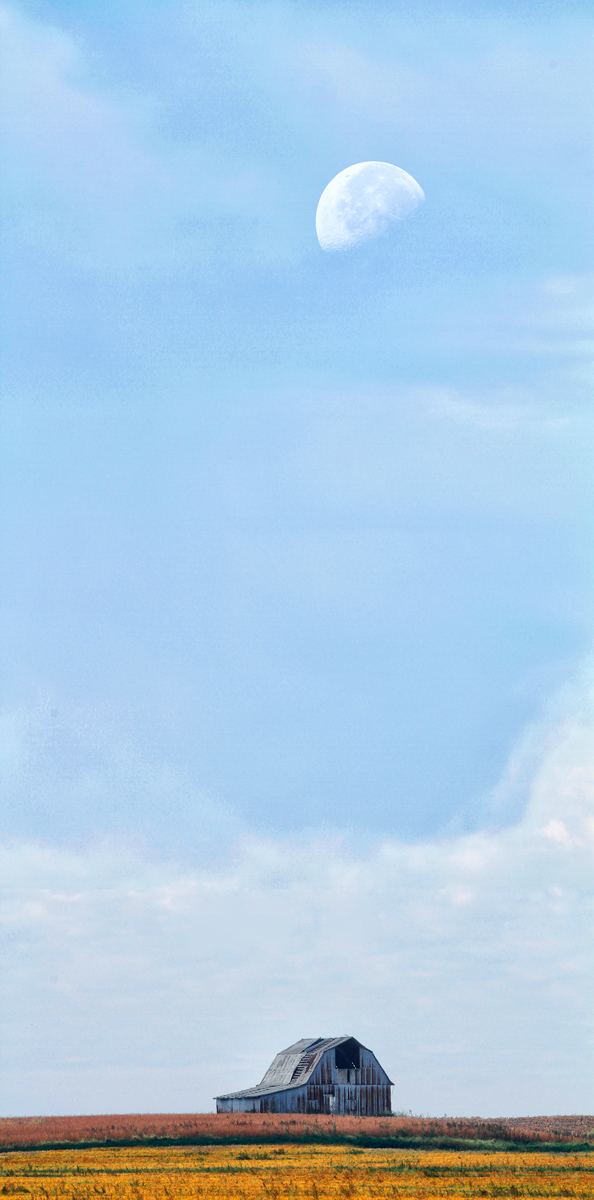 Harvest Moon