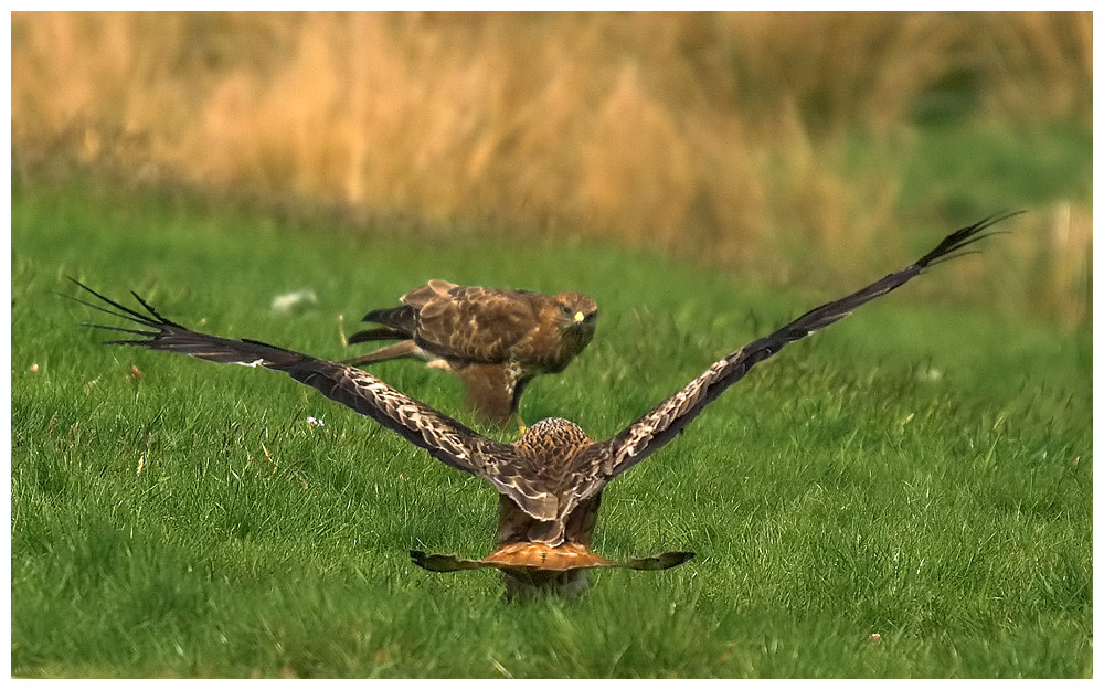 Close encounter