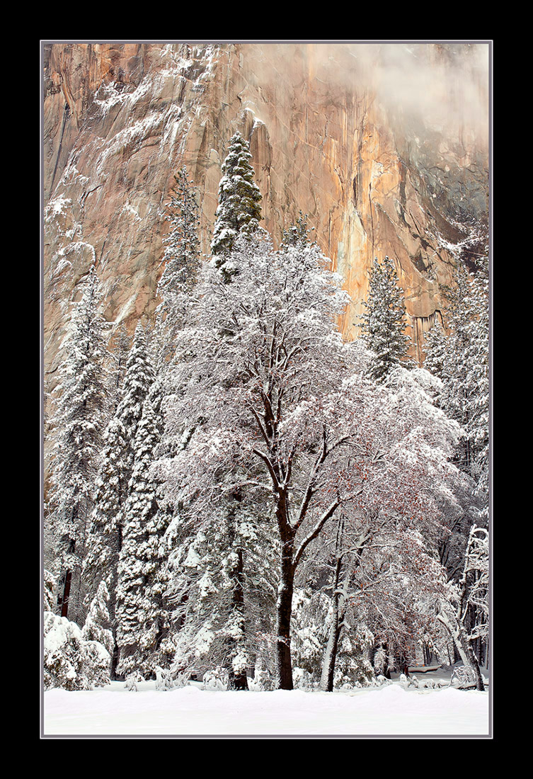 Winter's  Grace
