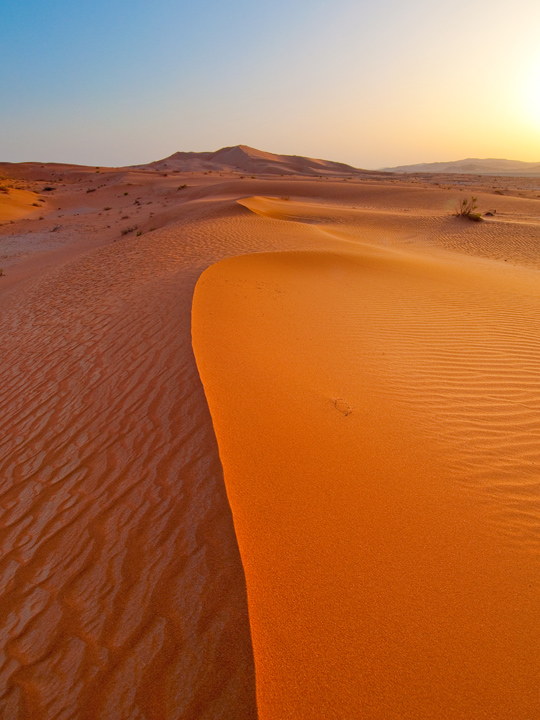 Dunes after Sunrise