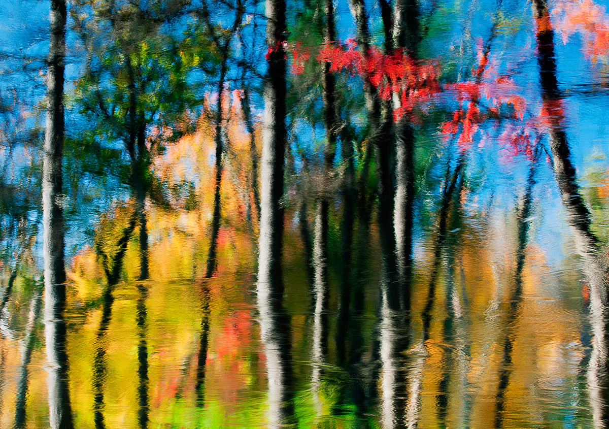 Dreaming toward Fall