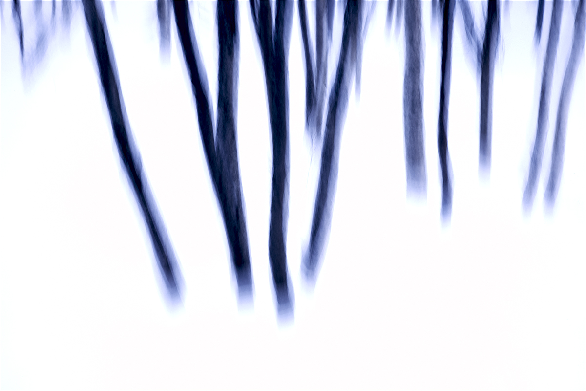 Norwegian Wood