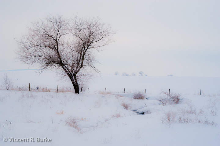 Winter Farm Field
