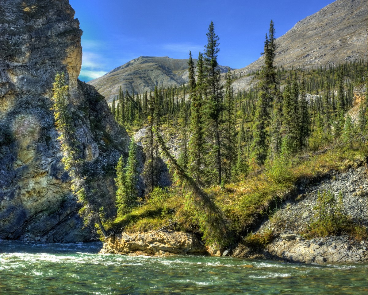 Matthews River