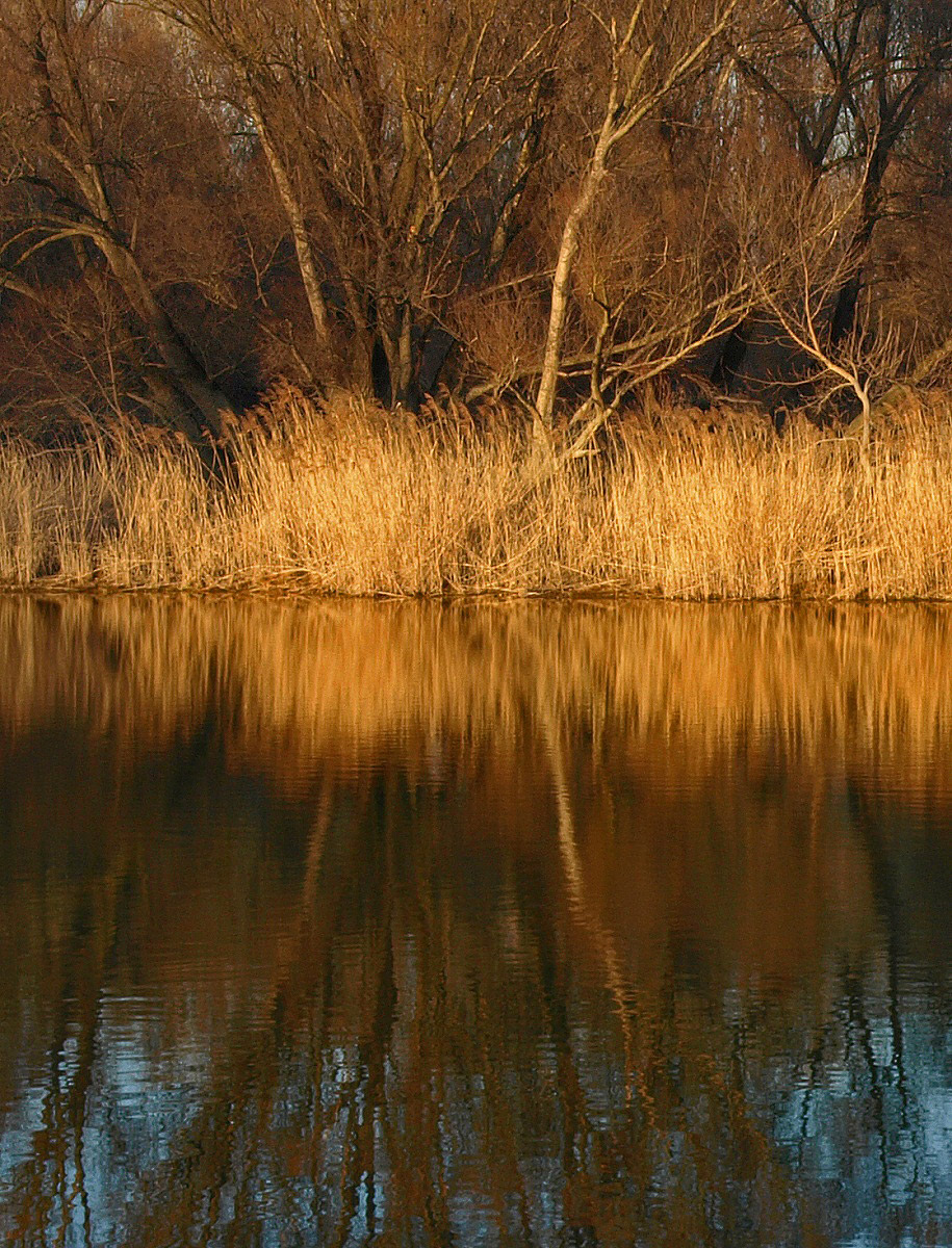Late Afternoon