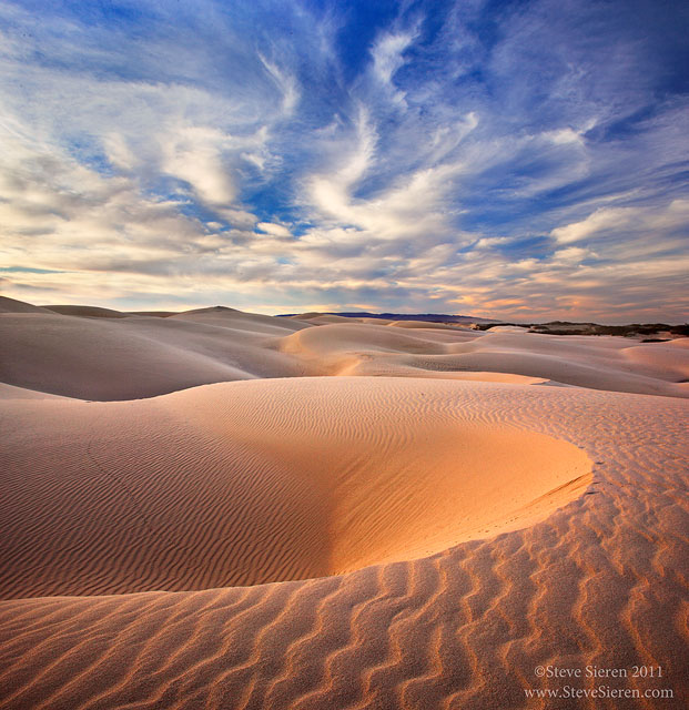 Ocean Dune