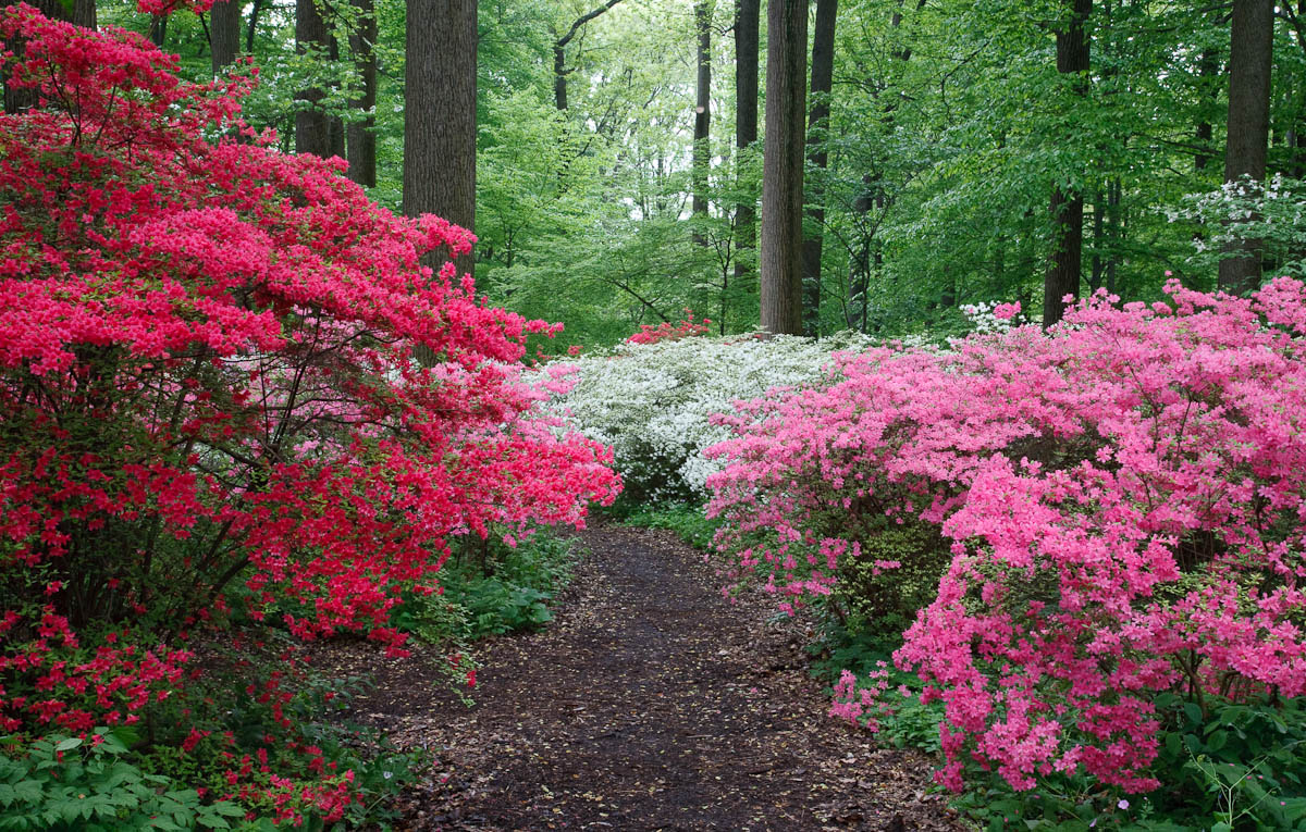 Spring Colors