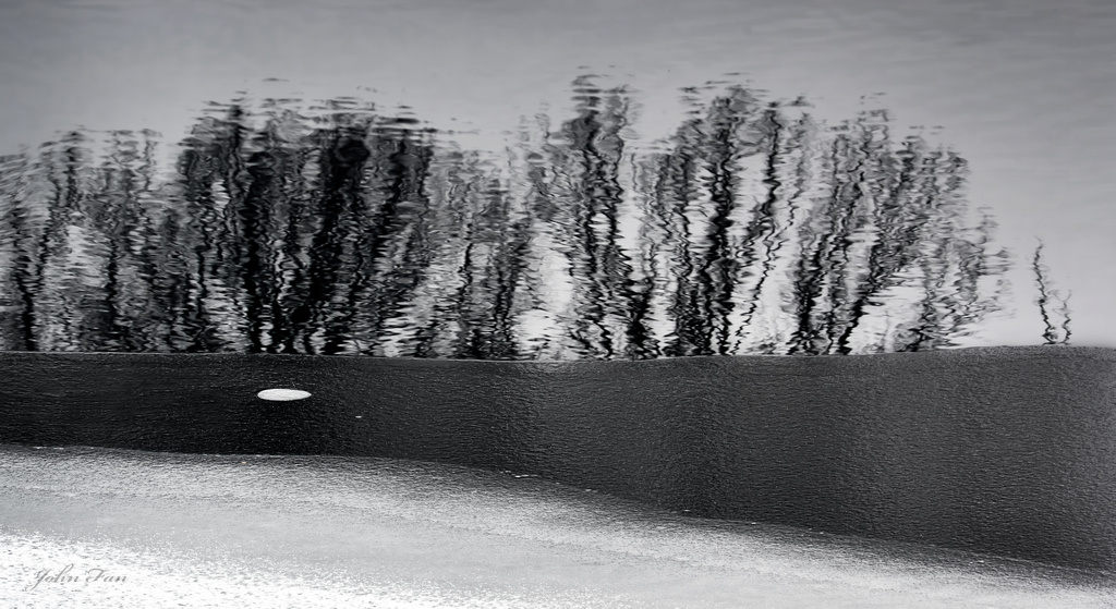Farewell to the Winter