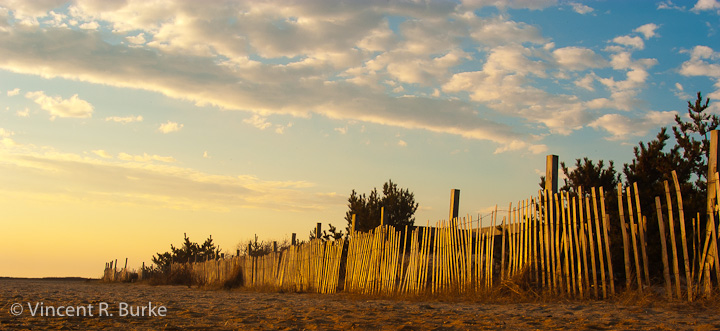 Dunes Fence at sunrise