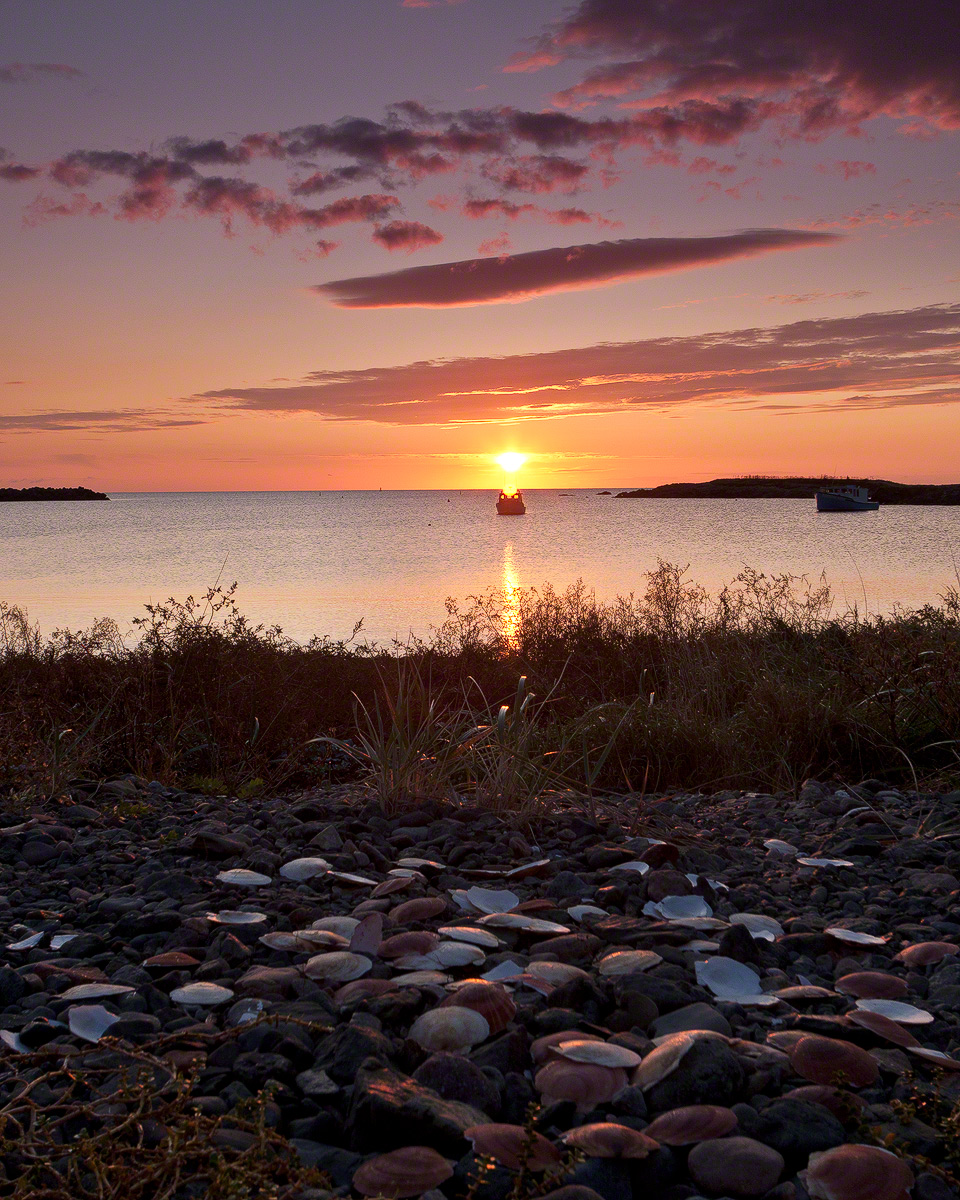 Shell Game Sunrise