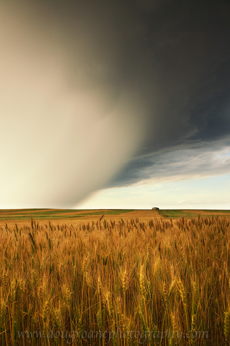 In the Path of the Storm