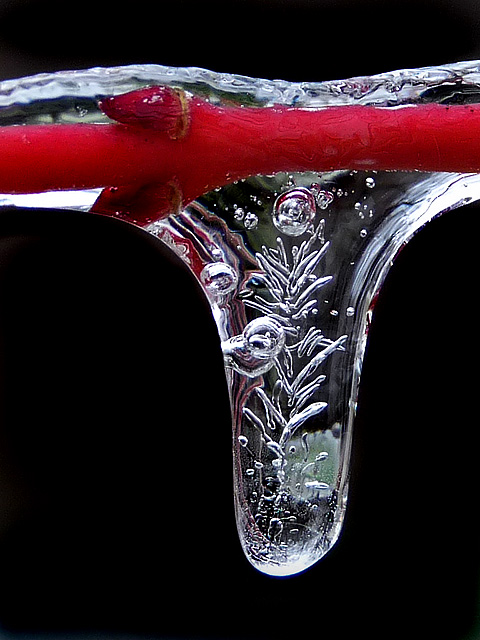 Ice storm icicle