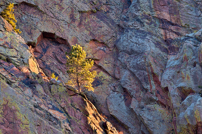 Life in the Mountains
