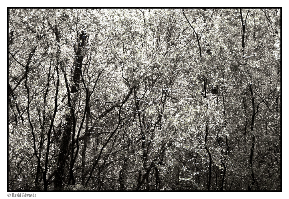 After the Rain