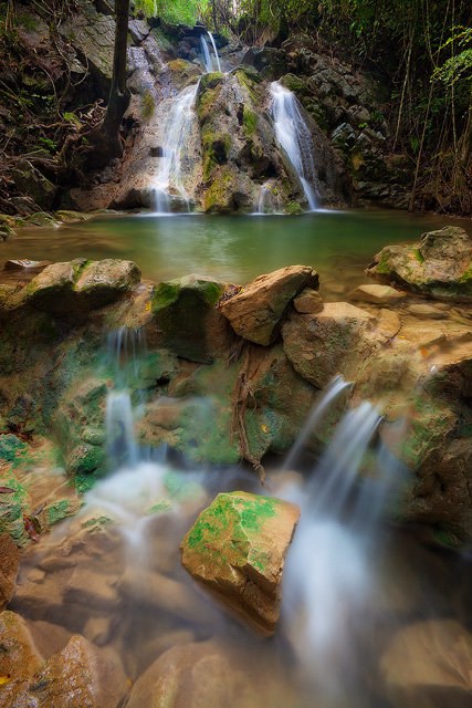 Jewel of the Jungle