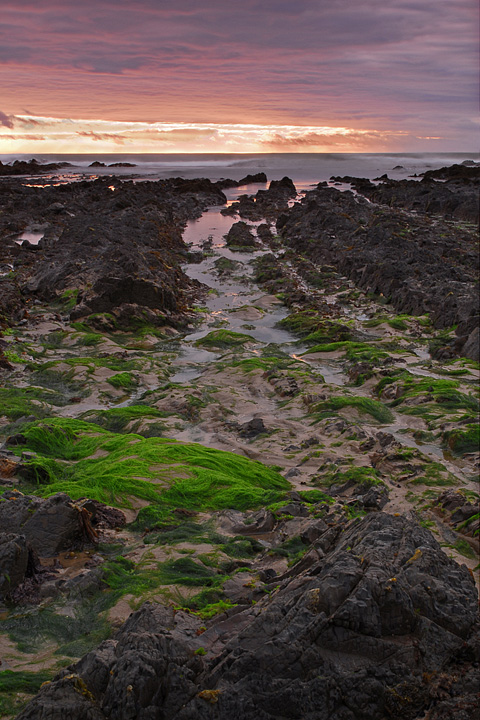 Kaka Point,NZ + repost