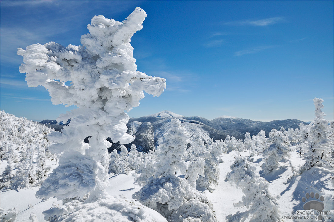 Nature's Sculpture
