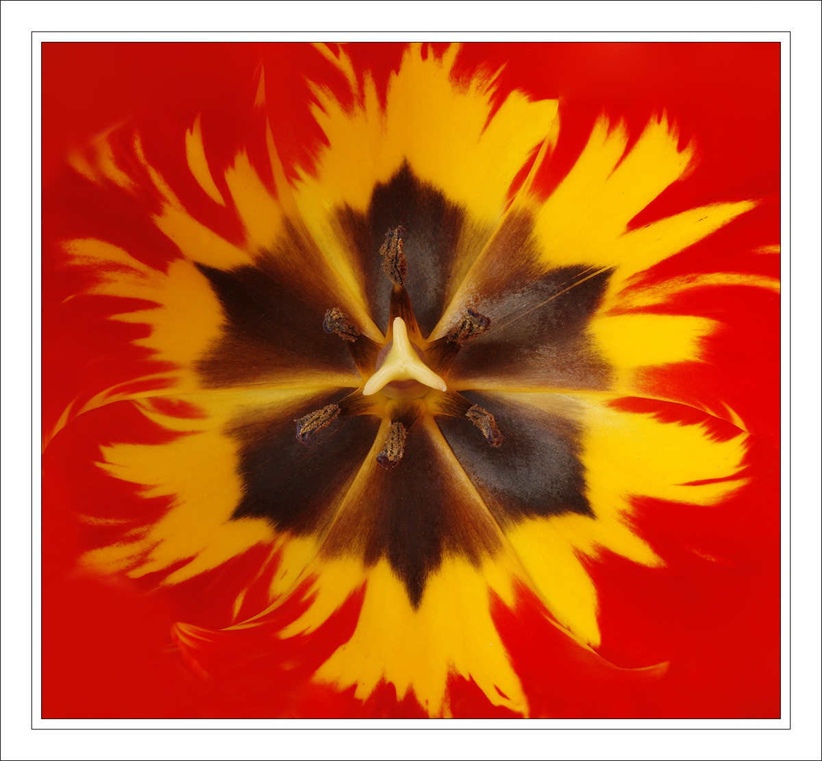 Supernova