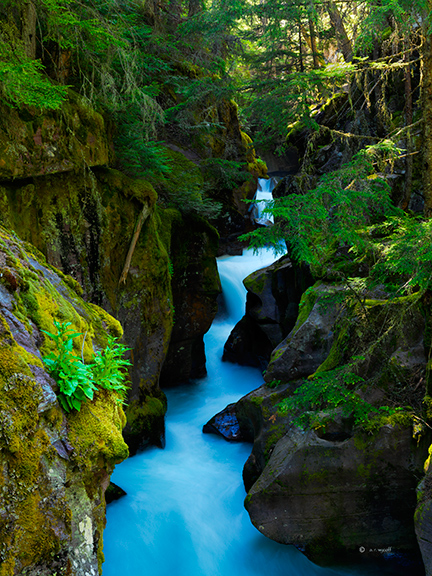 Avalanche Gorge