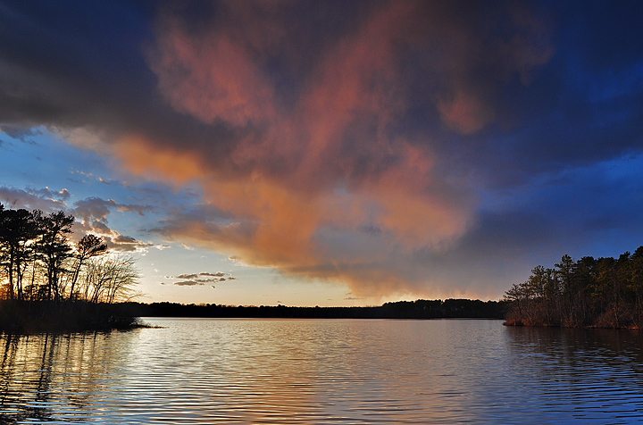 Pine Barren Sunset