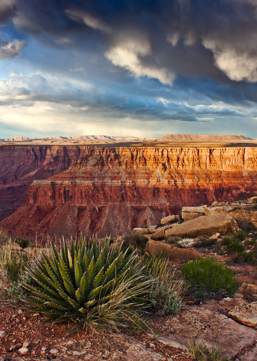 Glowing Cliffs