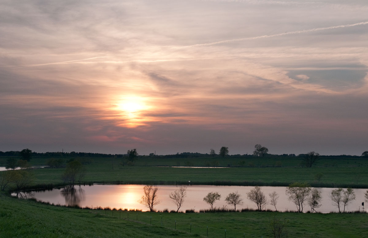 Reclaimed Sunset
