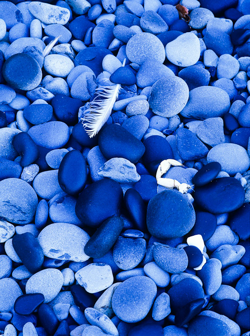 Blue 77 WC