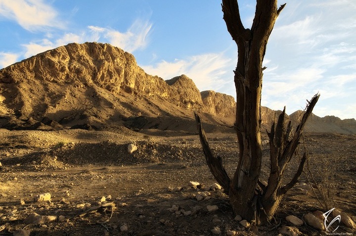 Remains